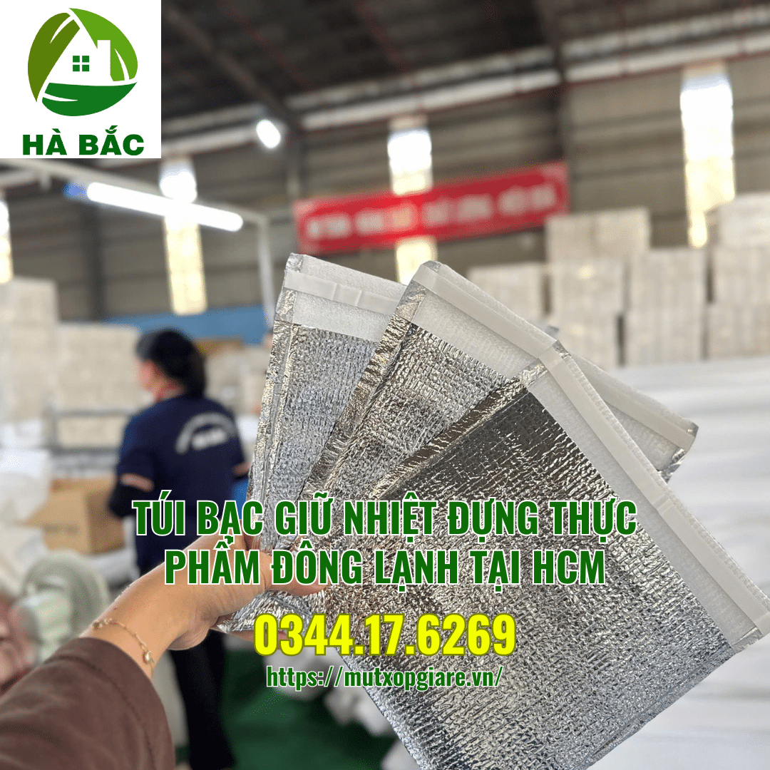 tui-bac-giu-nhiet-dung-thuc-pham-dong-lanh-tai-hcm