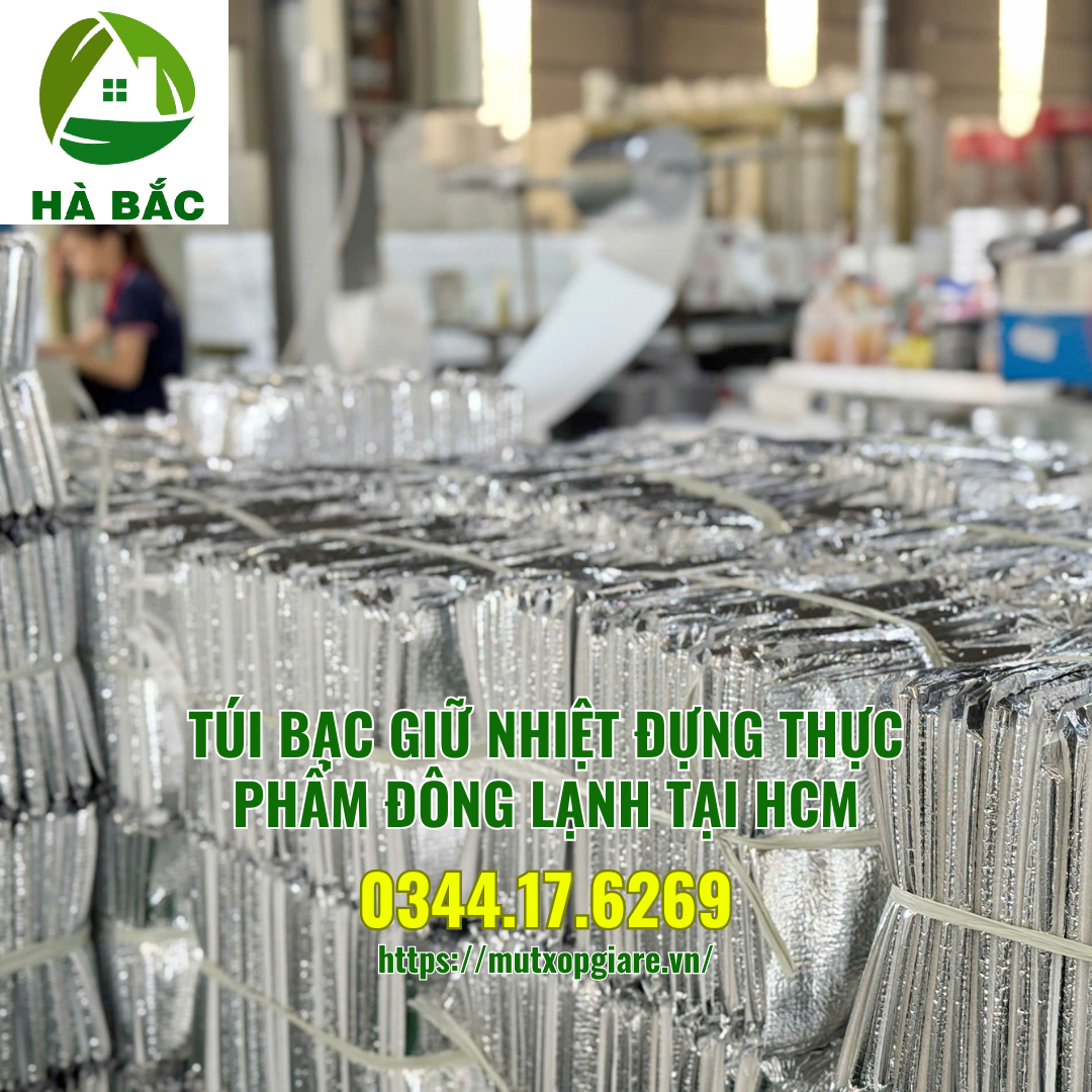 tui-bac-giu-nhiet-dung-thuc-pham-dong-lanh-tai-hcm
