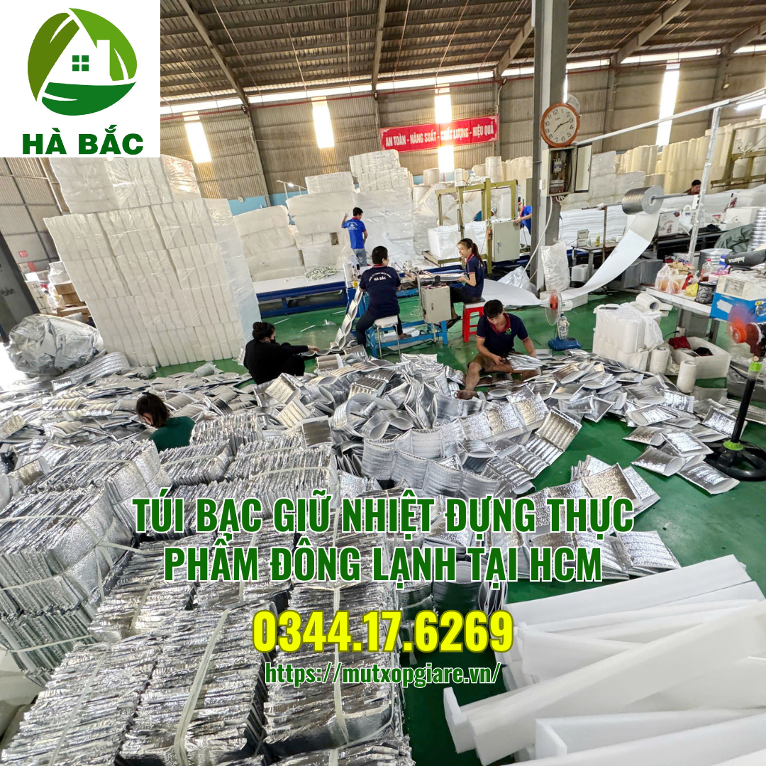 tui-bac-giu-nhiet-dung-thuc-pham-dong-lanh-tai-hcm