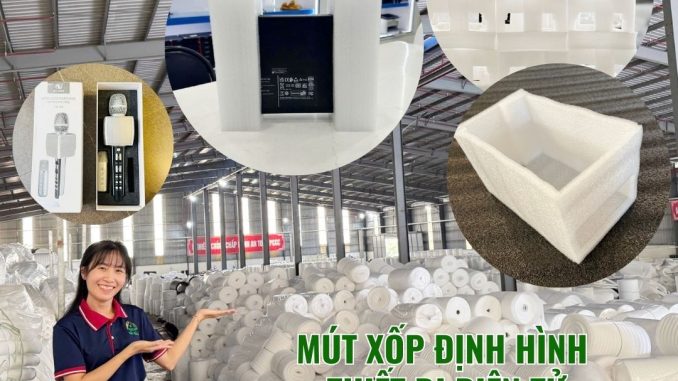 mut-xop-dinh-hinh-dong-hang-dien-tu-tai-my-phuoc-3