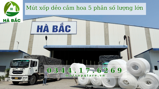mut-xop-deo-cam-hoa-5-phan-so-luong-lon-tai-hcm mut-xop-deo-cam-hoa-5-phan-so-luong-lon-tai-hcm