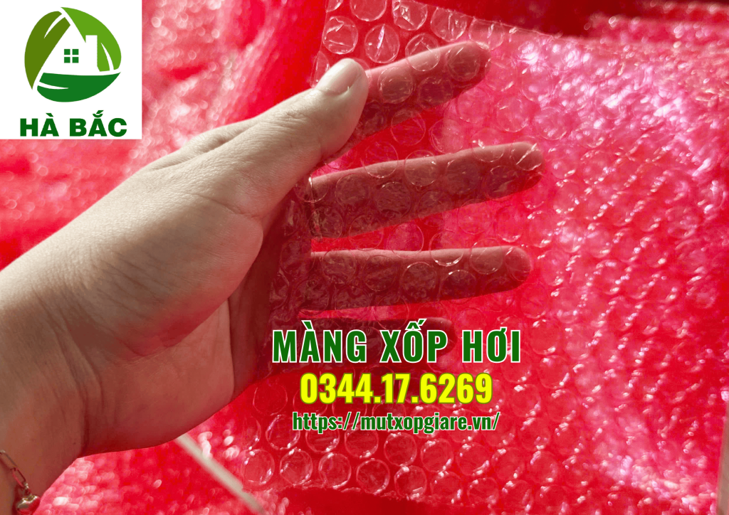 mang-xop-hoi