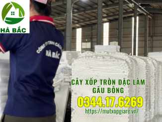 cay-xop-tron-dac-lam-gau-bong-tai-tphcm
