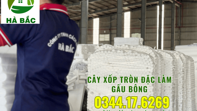 cay-xop-tron-dac-lam-gau-bong-tai-tphcm