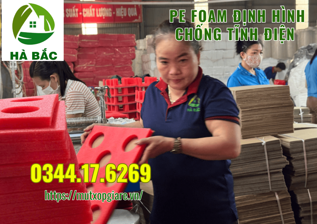 pe-foam-dinh-hinh-chong-tinh-dien-tai-KCN-bien-hoa-ii
