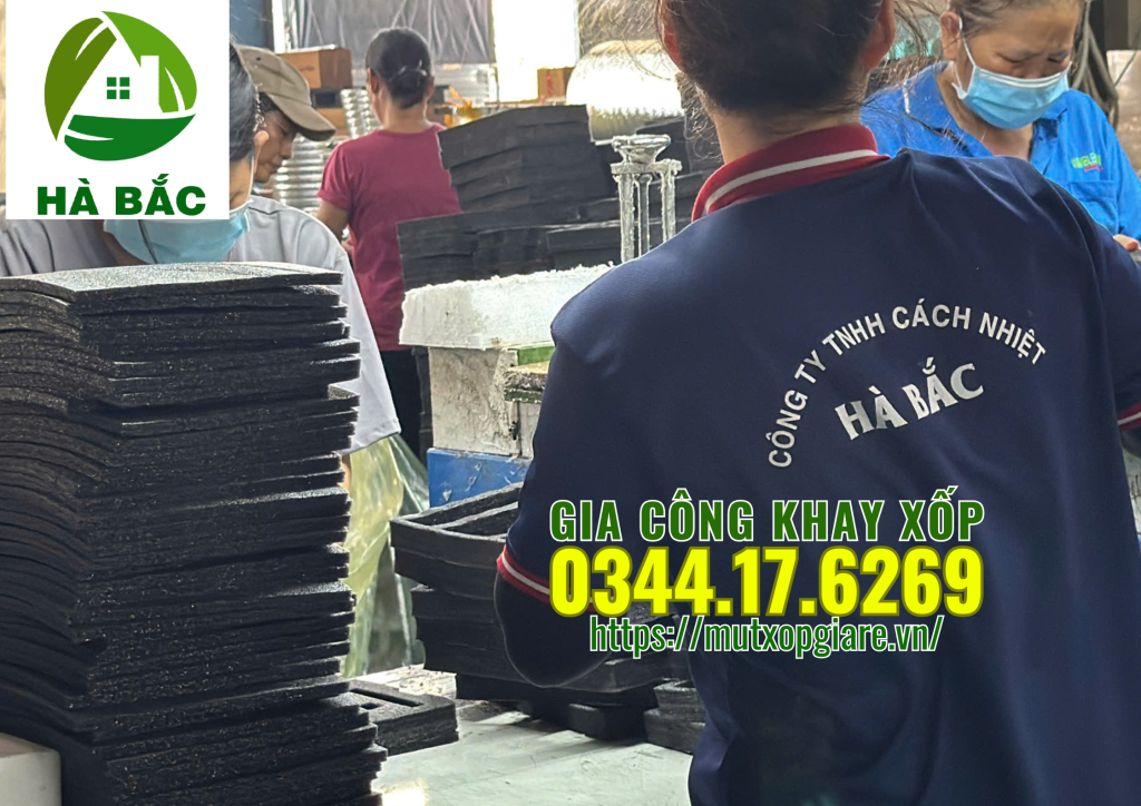 gia-cong-khay-xop-mau-den-tai-long-an