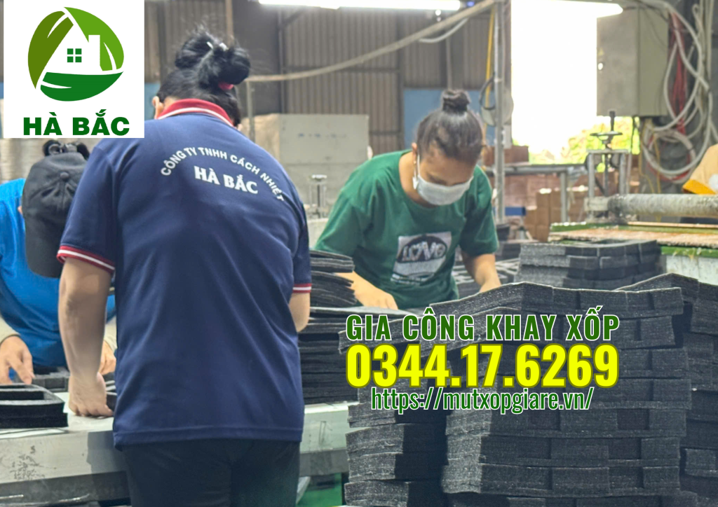 gia-cong-khay-xop-mau-den-tai-long-an