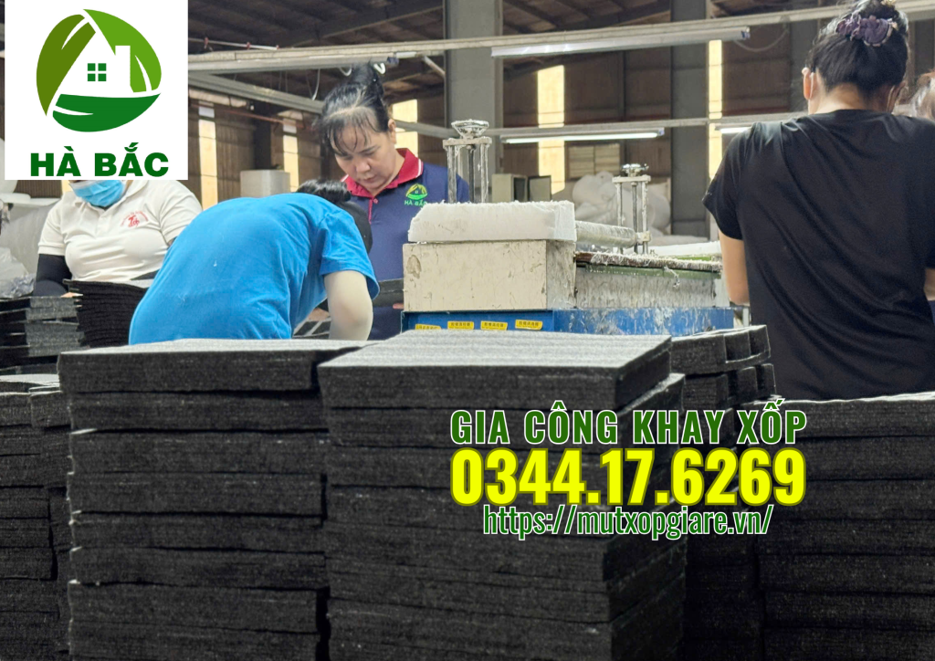 gia-cong-khay-xop-mau-den-tai-long-an