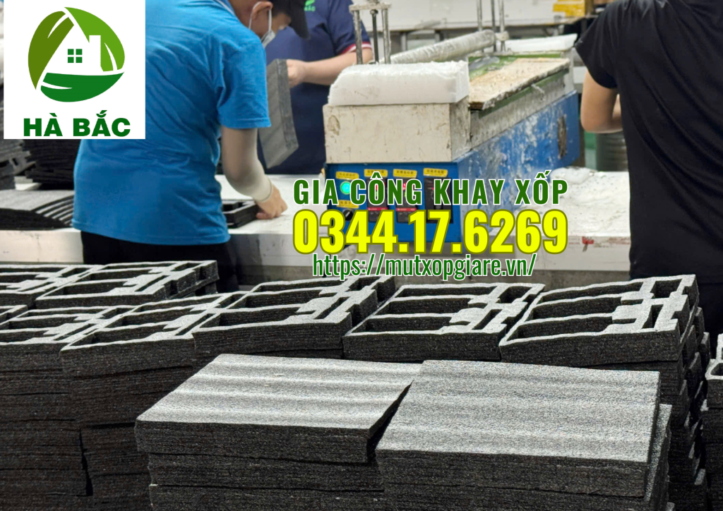 gia-cong-khay-xop-mau-den-tai-long-an