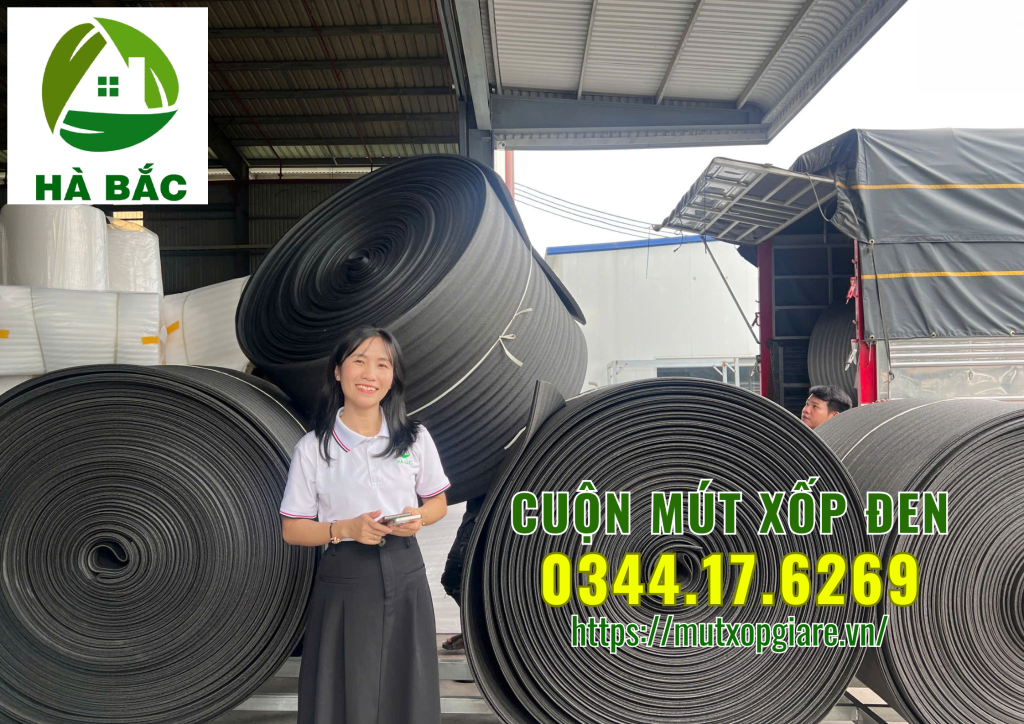 cuon-mut-xop-den-tai-binh-hoa-thuan-an