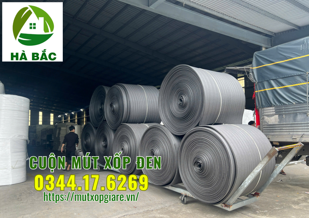 cuon-mut-xop-den-tai-binh-hoa-thuan-an