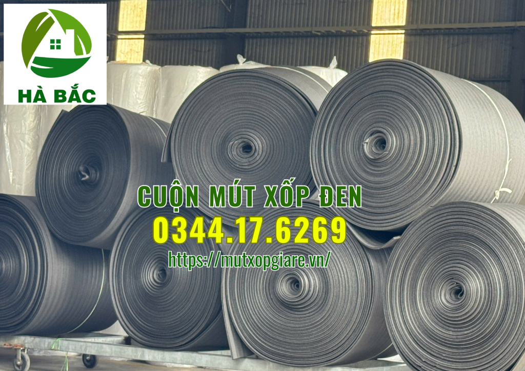 cuon-mut-xop-den-tai-binh-hoa-thuan-an