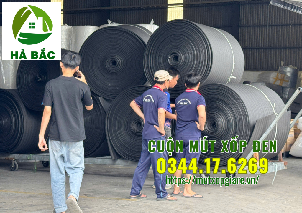 cuon-mut-xop-den-tai-binh-hoa-thuan-an