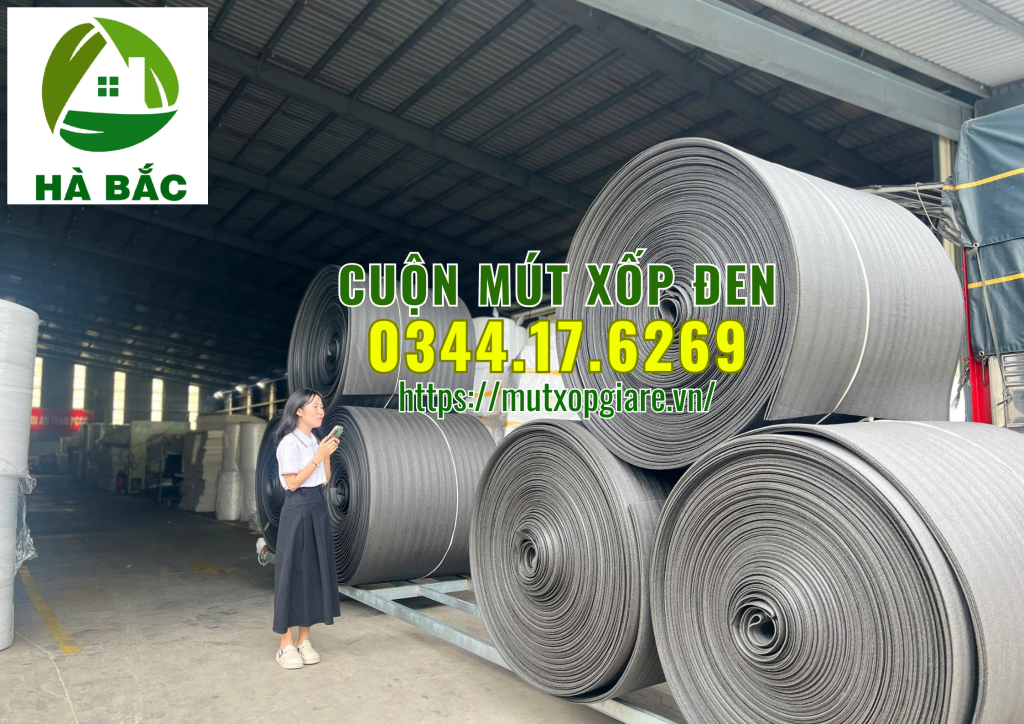 cuon-mut-xop-den-tai-binh-hoa-thuan-an