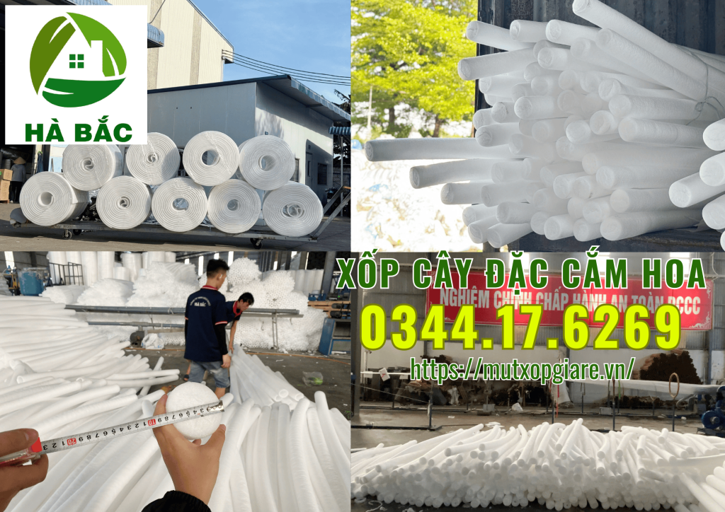 xop-cay-dac-cam-hoa-sap-tai-ha-noi