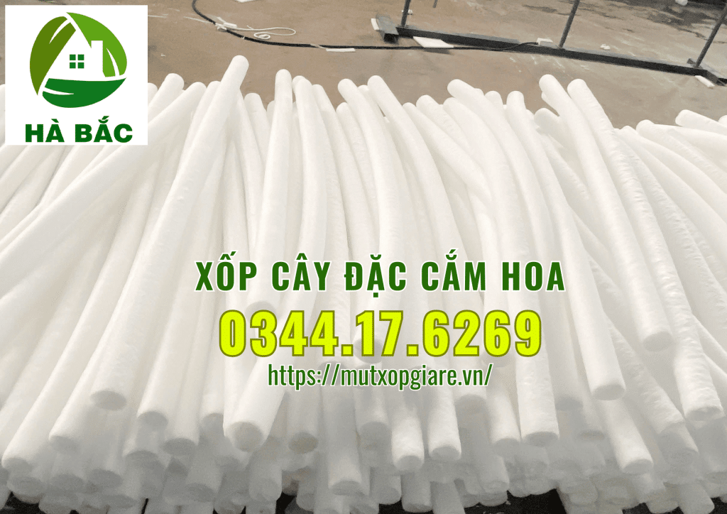 xop-cay-dac-cam-hoa-sap-tai-ha-noi
