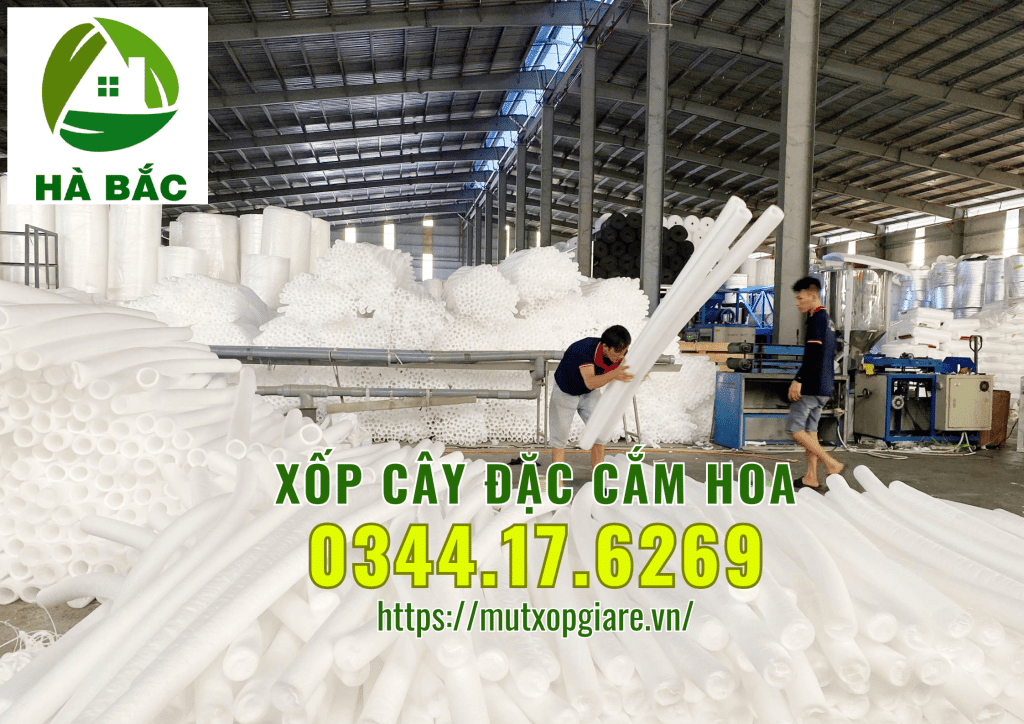 xop-cay-dac-cam-hoa-sap-tai-ha-noi
