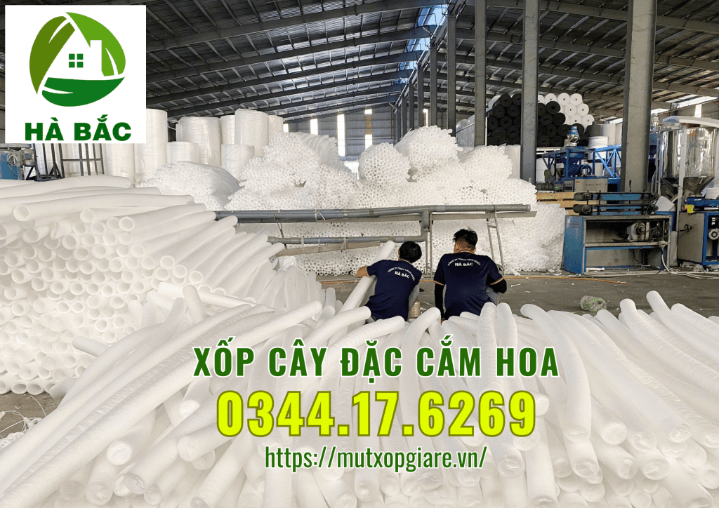 xop-cay-dac-cam-hoa-sap-tai-ha-noi