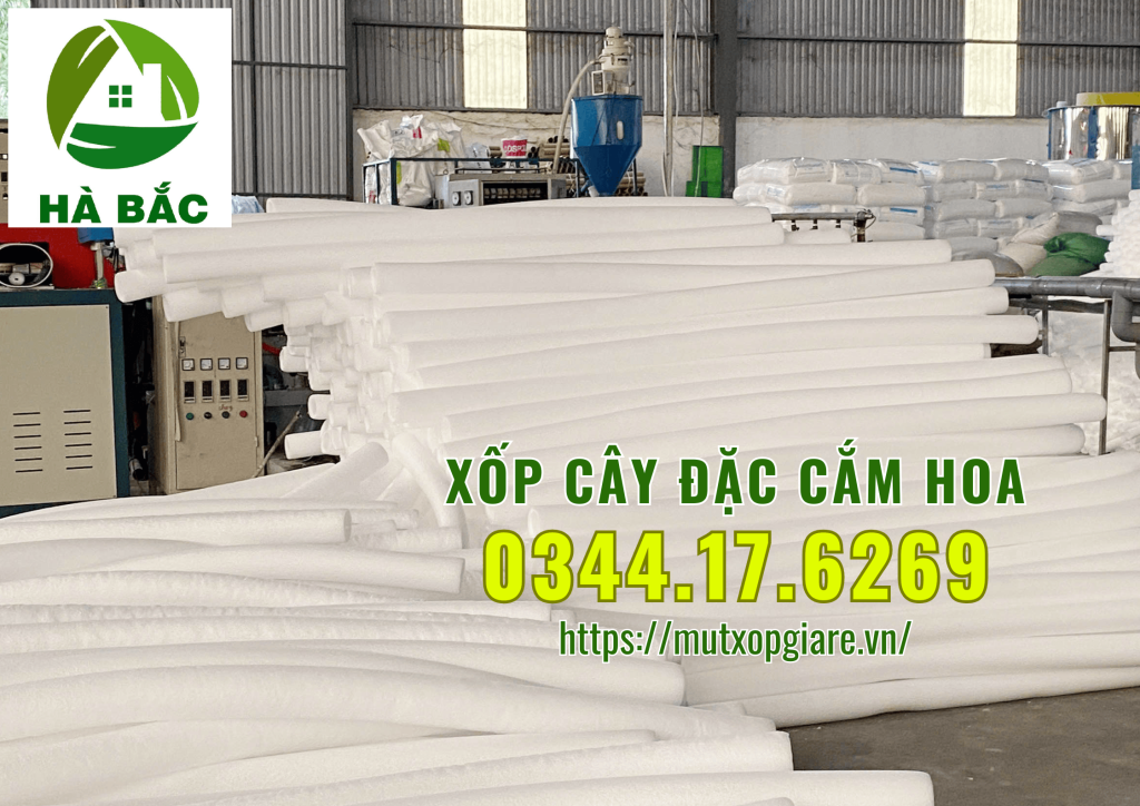 xop-cay-dac-cam-hoa-sap-tai-ha-noi