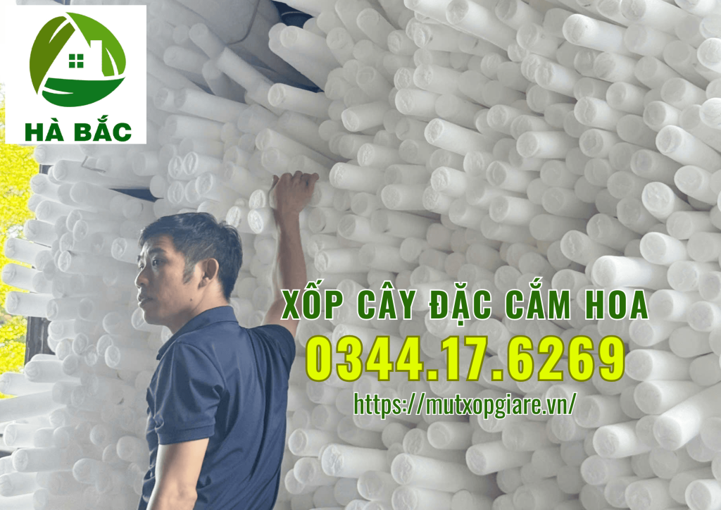 xop-cay-dac-cam-hoa-sap-tai-ha-noi