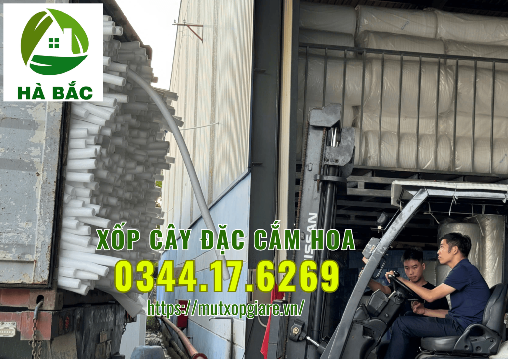 xop-cay-dac-cam-hoa-sap-tai-ha-noi