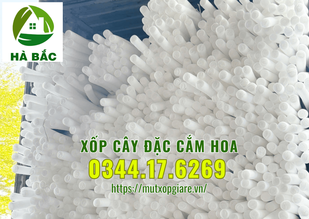 xop-cay-dac-cam-hoa-sap-tai-ha-noi