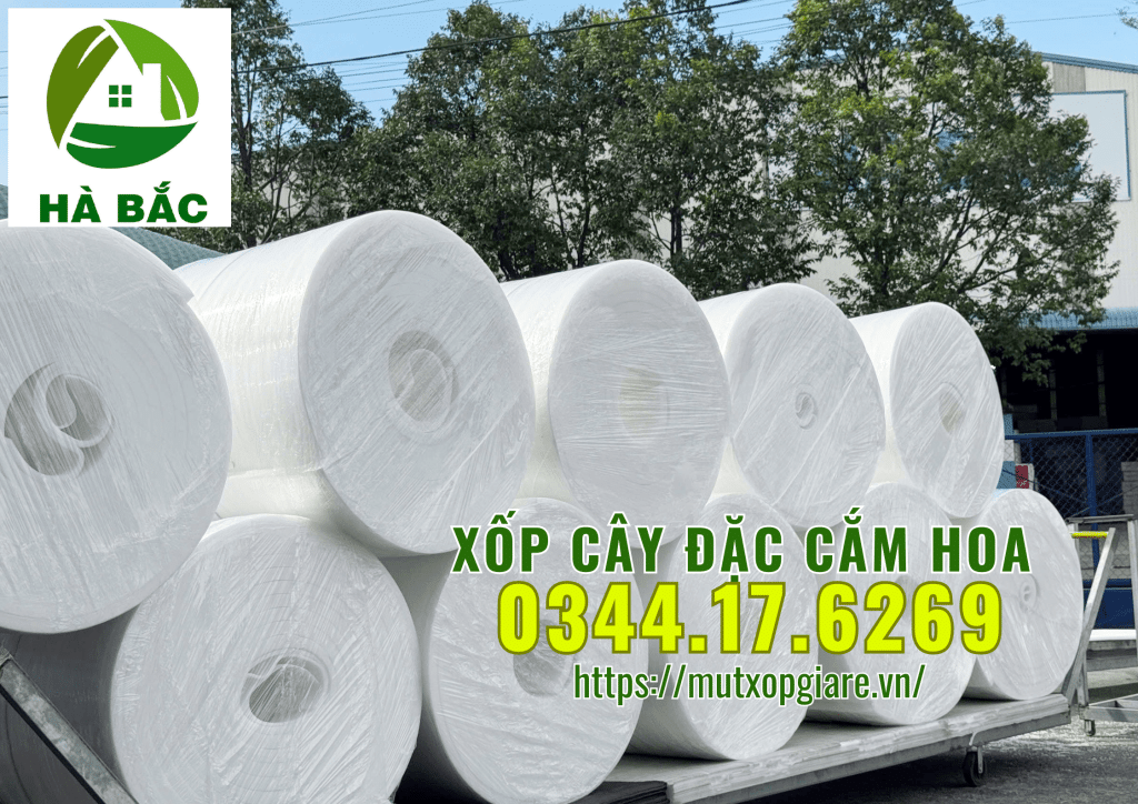 xop-cay-dac-cam-hoa-sap-tai-ha-noi