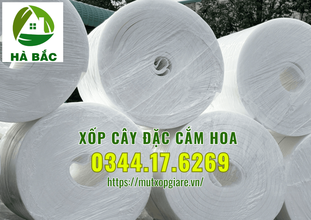 xop-cay-dac-cam-hoa-sap-tai-ha-noi