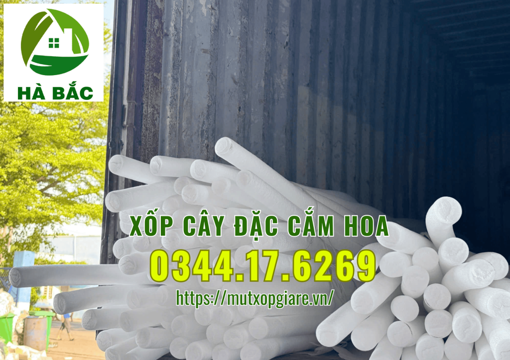 xop-cay-dac-cam-hoa-sap-tai-ha-noi