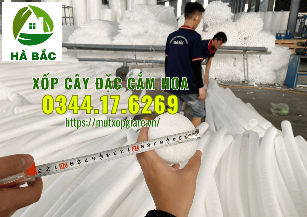 xop-cay-dac-cam-hoa-sap-tai-ha-noi