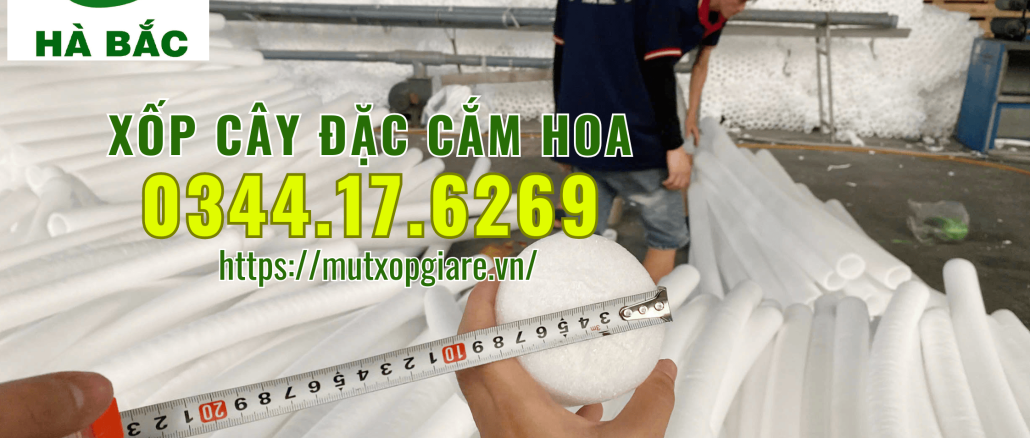xop-ca-dac-cam-hoa-sap-tai-ha-noi