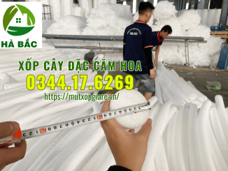 xop-ca-dac-cam-hoa-sap-tai-ha-noi
