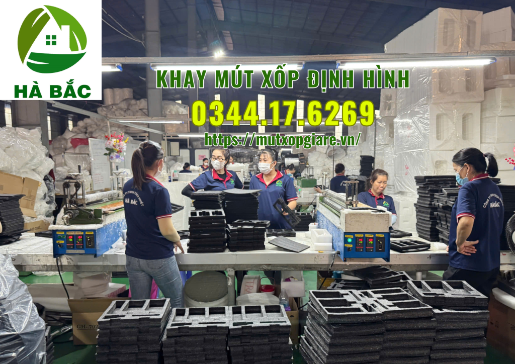 khay-mut-xop-dinh-hinh-tai-tp-hcm