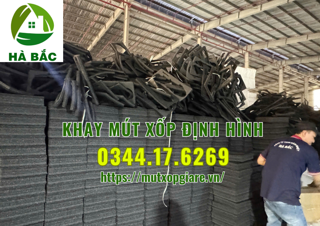 khay-mut-xop-dinh-hinh-tai-tp-hcm