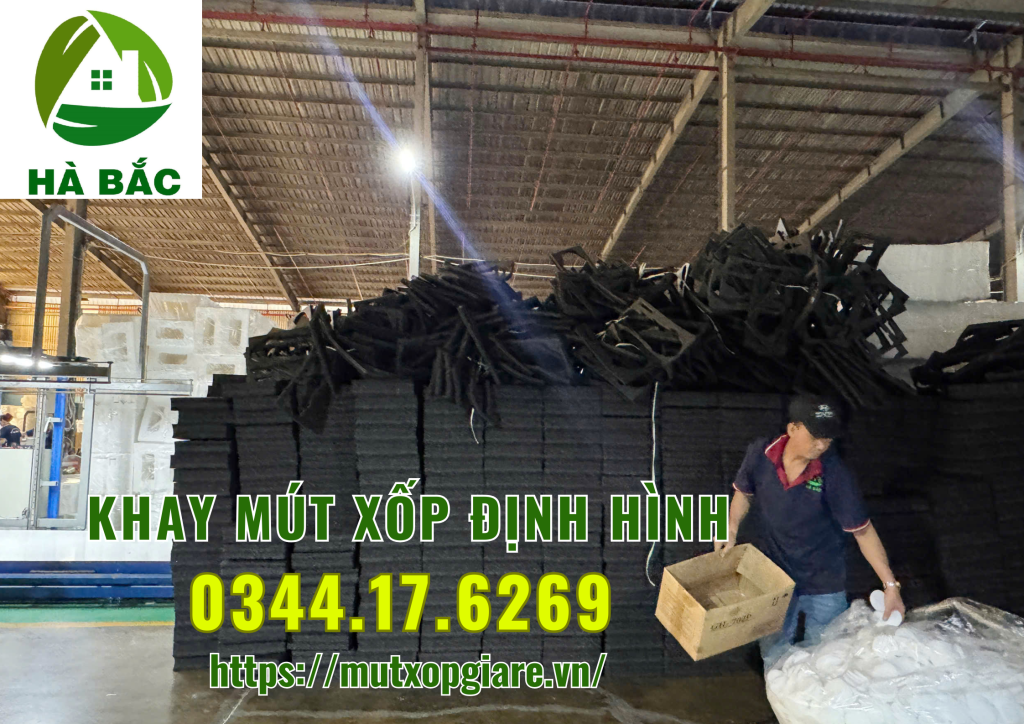 khay-mut-xop-dinh-hinh-tai-tp-hcm