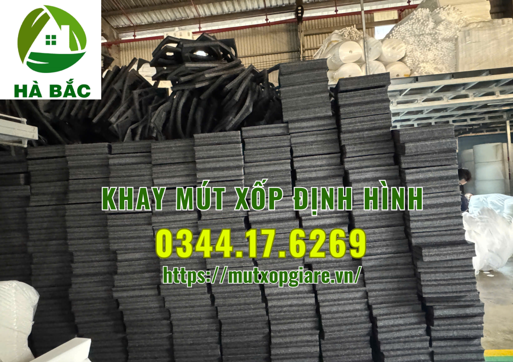 khay-mut-xop-dinh-hinh-tai-tp-hcm