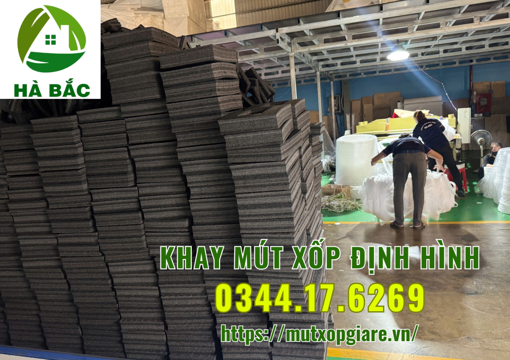 khay-mut-xop-dinh-hinh-tai-tp-hcm