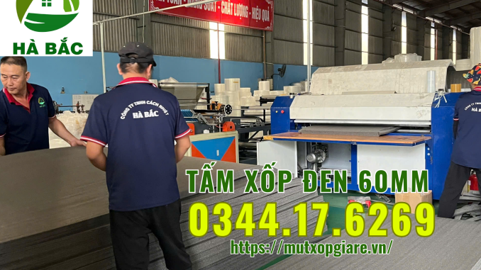 tam-xop-den-60mm-tai-ben-luc-long-an