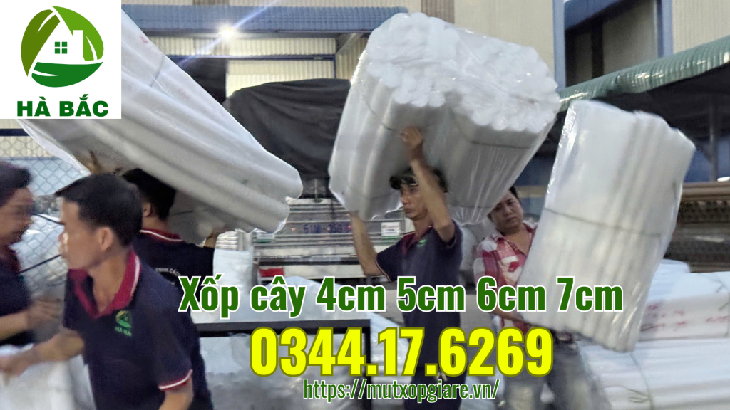 xop-cay-4cm-5cm-6cm-7cm-phu-kien-nganh-hoa-tuoi-hoa-sap-gia-si-tai-da-nang