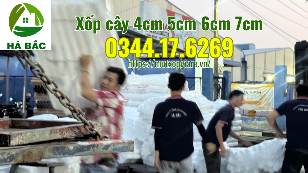 xop-cay-4cm-5cm-6cm-7cm-phu-kien-nganh-hoa-tuoi-hoa-sap-gia-si-tai-da-nang