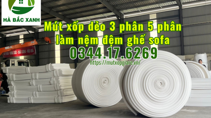 mut-xop-deo-3phan-5phan-lam-nem-dem-ghe-sofa