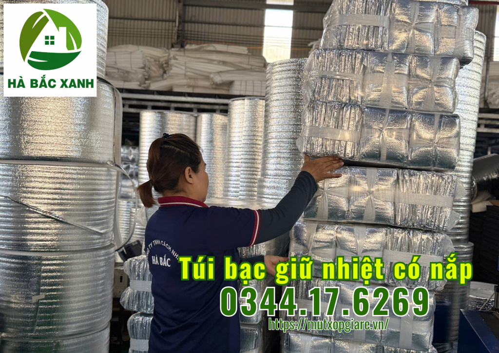 tui-bac-giu-nhiet-co-nap-dung-thuc-pham tui-bac-giu-nhiet-co-nap-dung-thuc-pham