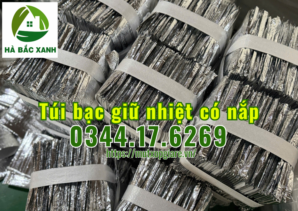 tui-bac-giu-nhiet-co-nap-dung-thuc-pham tui-bac-giu-nhiet-co-nap-dung-thuc-pham