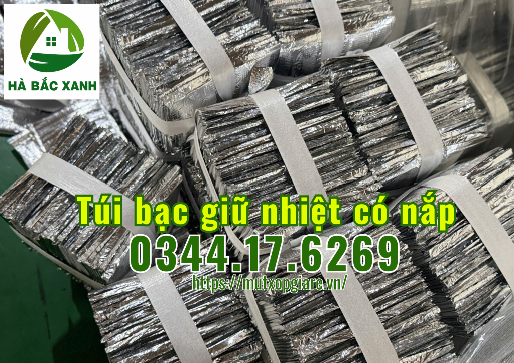 tui-bac-giu-nhiet-co-nap-dung-thuc-pham tui-bac-giu-nhiet-co-nap-dung-thuc-pham