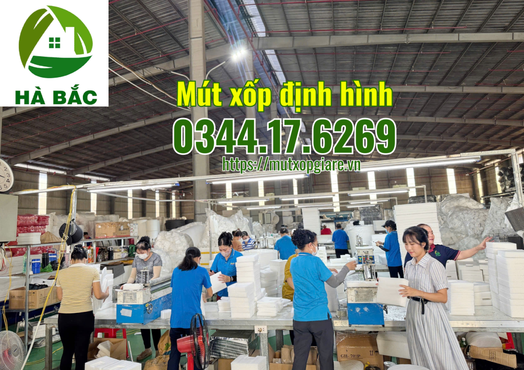 mut-xop-dinh-hinh-tai-kcn-dinh-tram