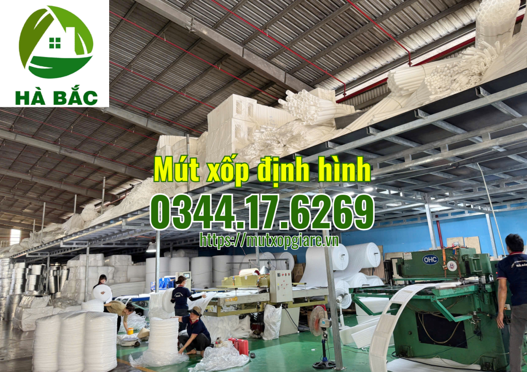 mut-xop-dinh-hinh-tai-kcn-dinh-tram