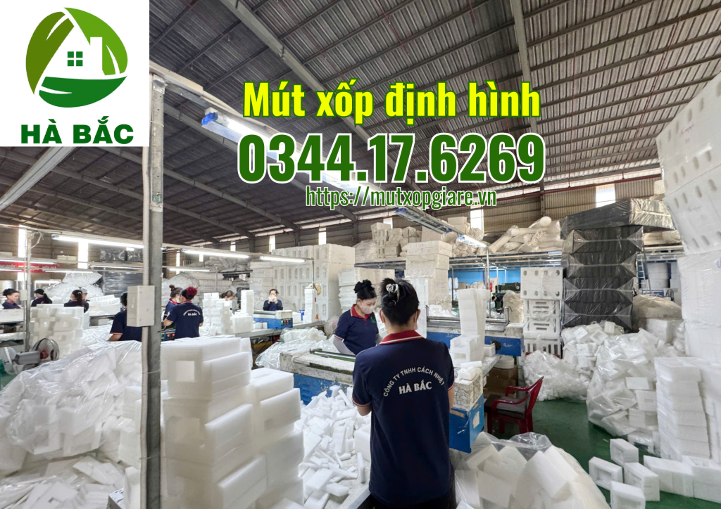 mut-xop-dinh-hinh-tai-kcn-dinh-tram