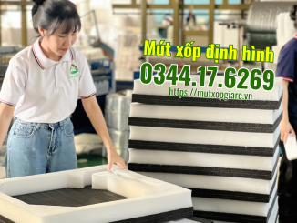 mut-xop-dinh-hinh-tai-kcn-dinh-tram