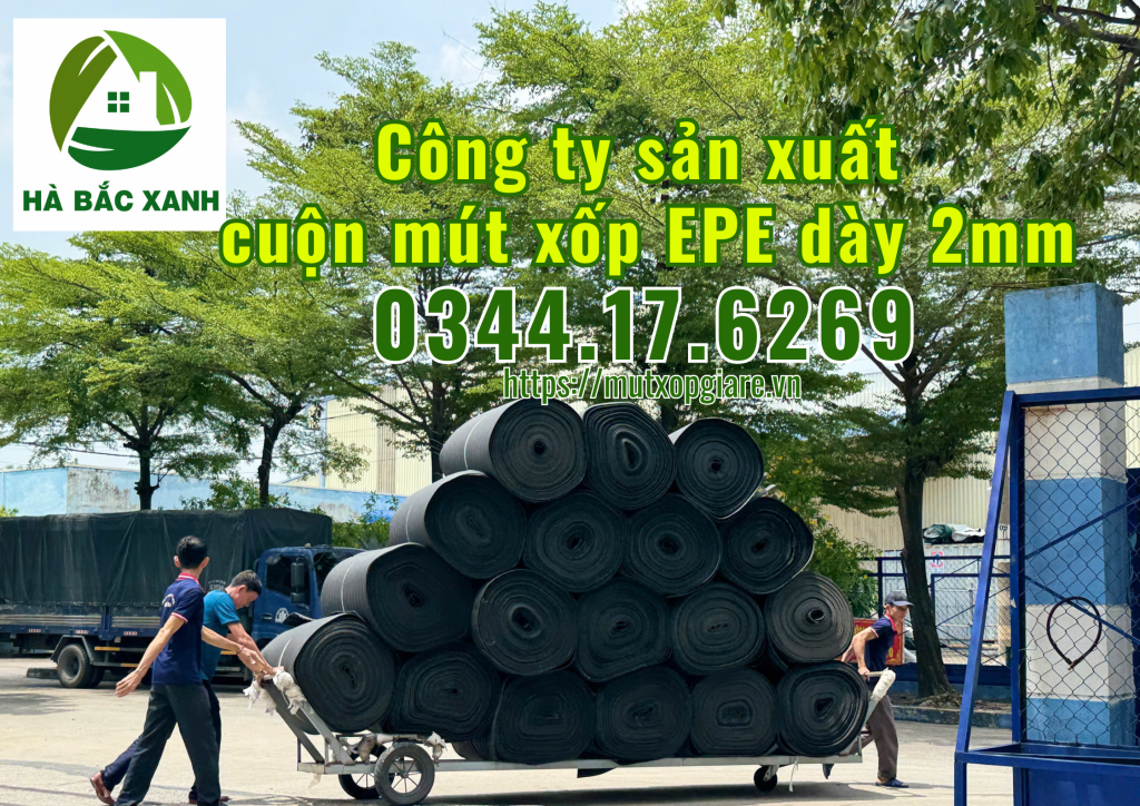 mut-xop-epe-day-2mm