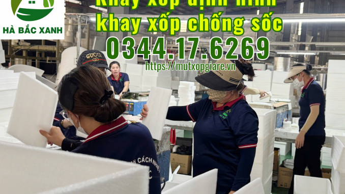 khay-xop-dinh-hinh-khay-xop-chong-soc